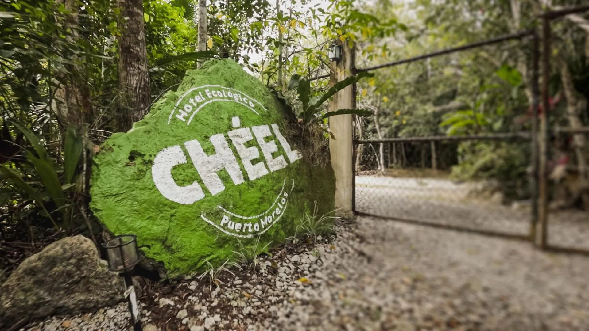 Chéel Cabañas&Camping Puerto Morelos México