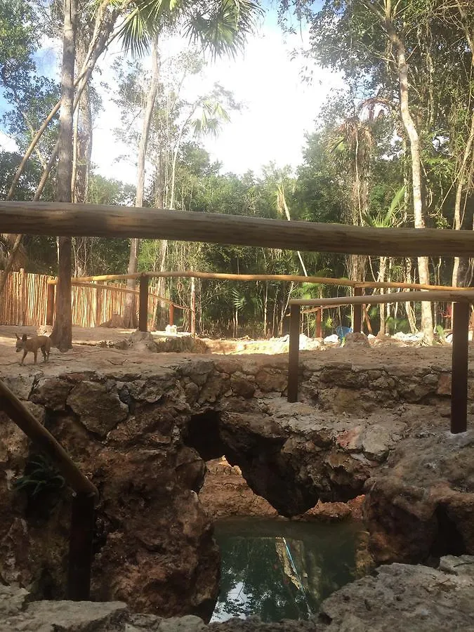 Lodge Chéel Cabañas&Camping Puerto Morelos