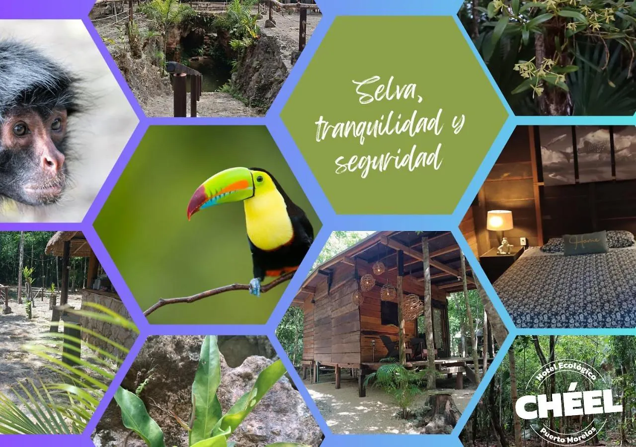 Cheel Lodge & Camping Puerto Morelos Mexiko