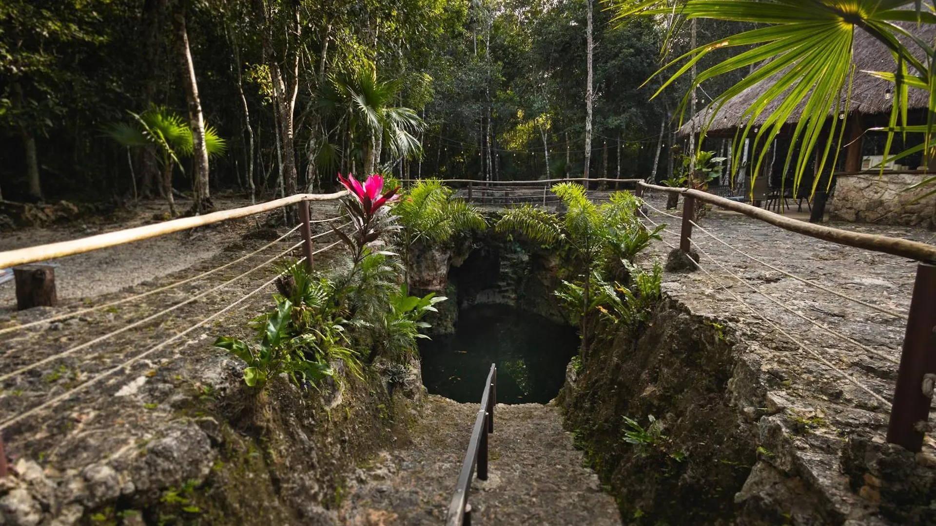 Cheel Lodge & Camping Puerto Morelos