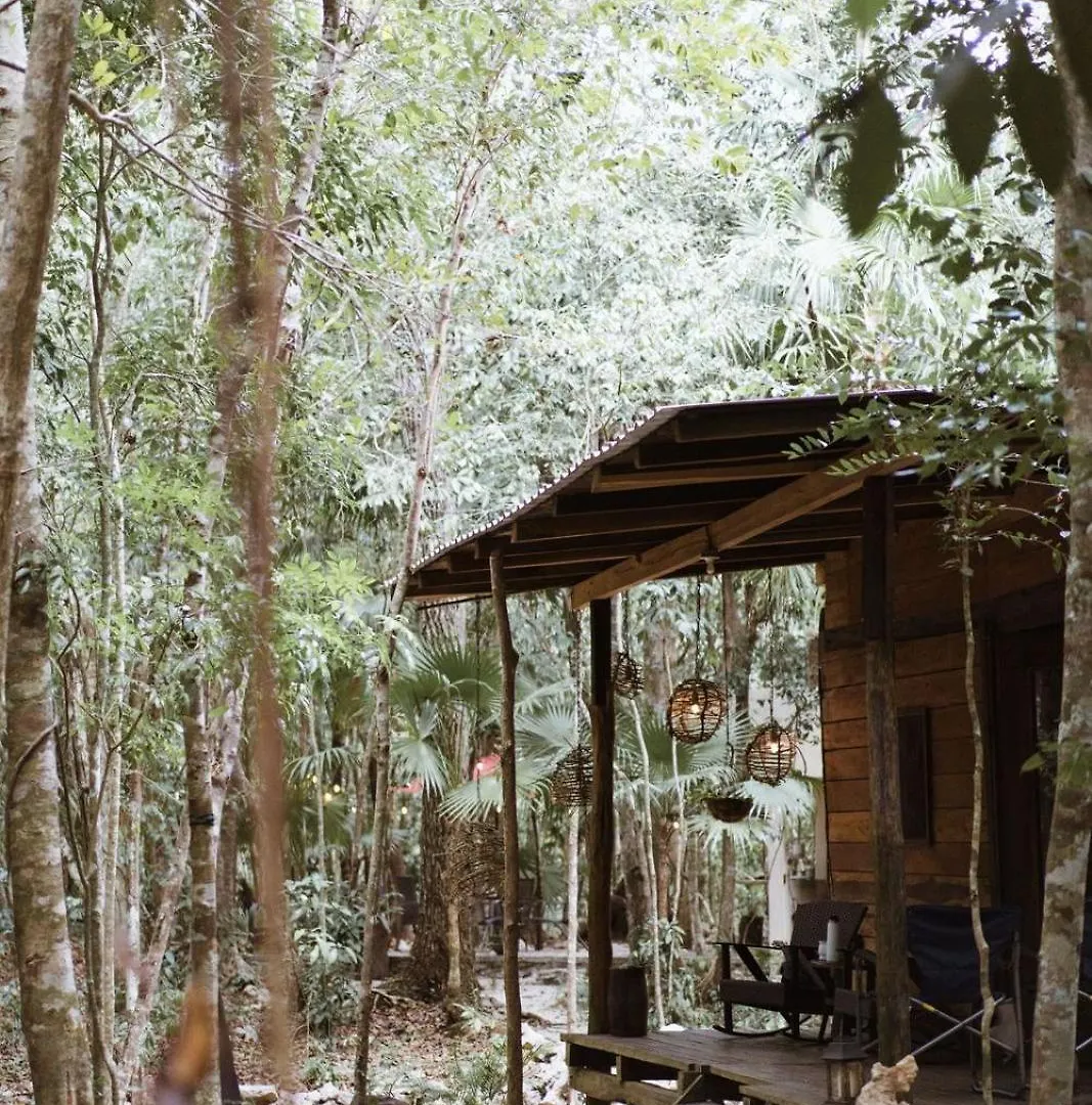 Cheel Lodge & Camping Puerto Morelos