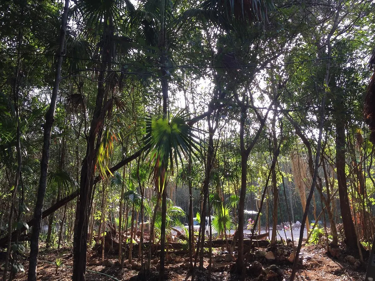 Cheel Lodge & Camping Puerto Morelos Mexiko