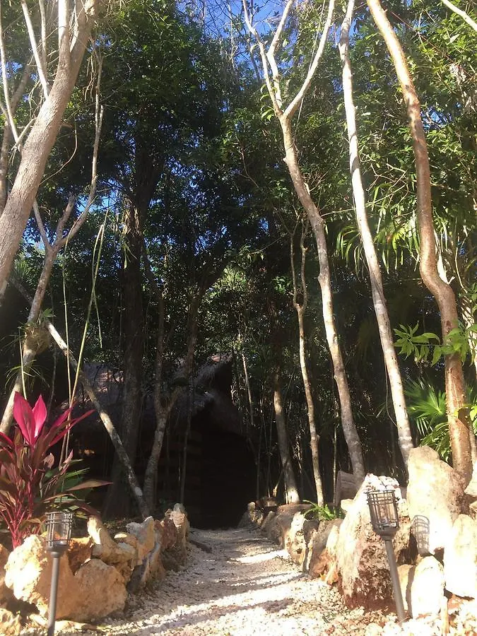 Cheel Lodge & Camping Puerto Morelos 0*,