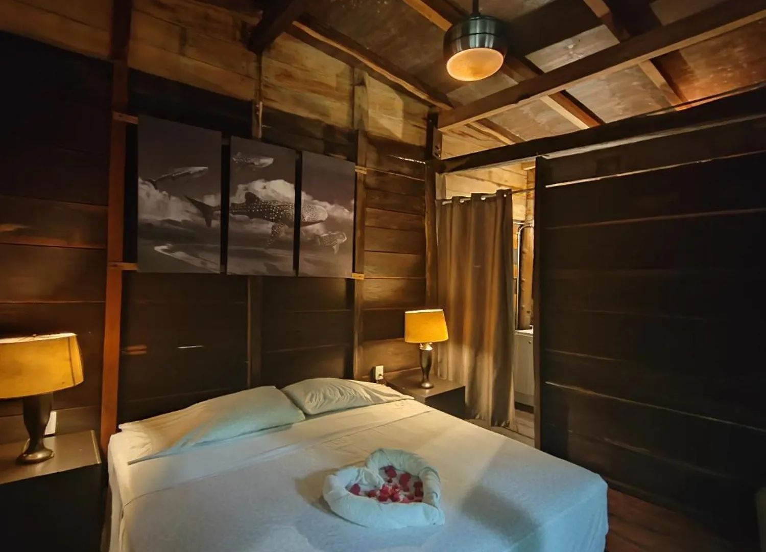 Cheel Lodge & Camping Puerto Morelos Mexico