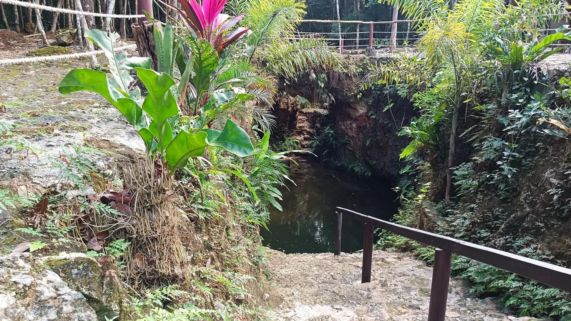 Cheel Lodge & Camping Puerto Morelos