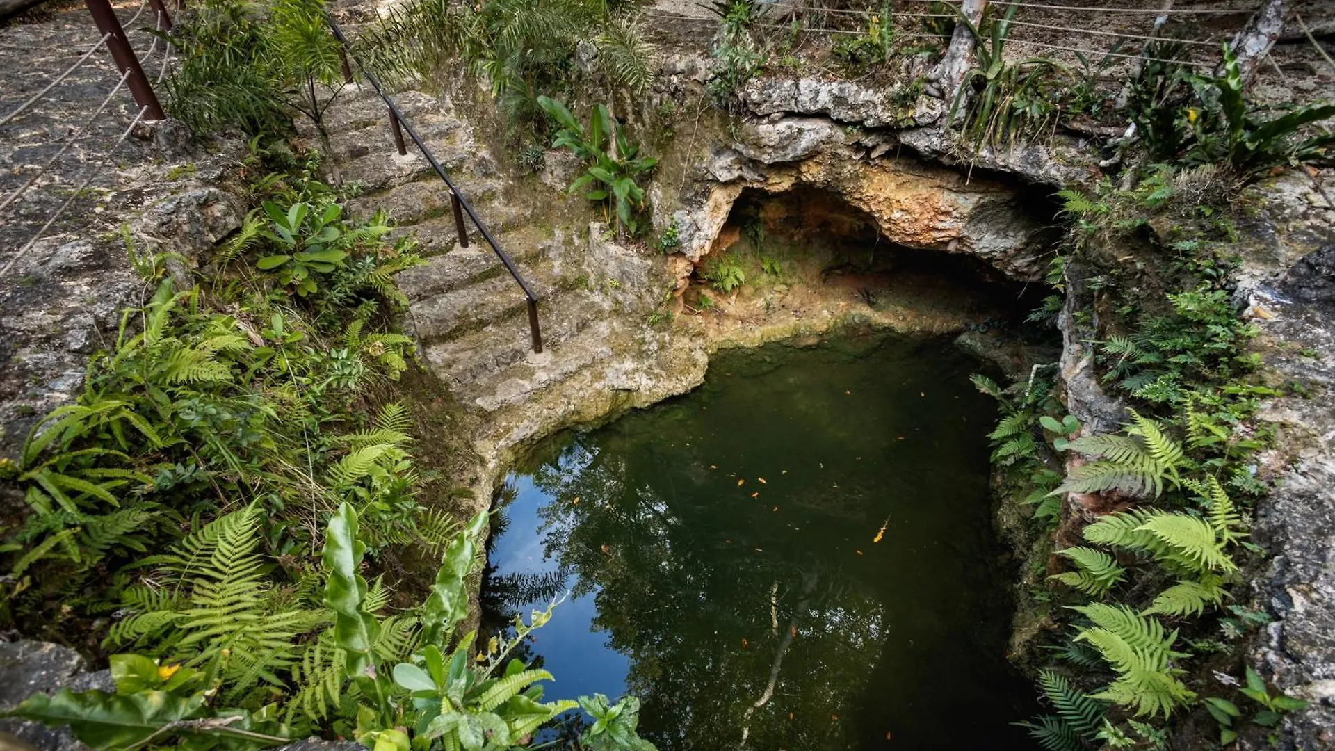 Cheel Lodge & Camping Puerto Morelos
