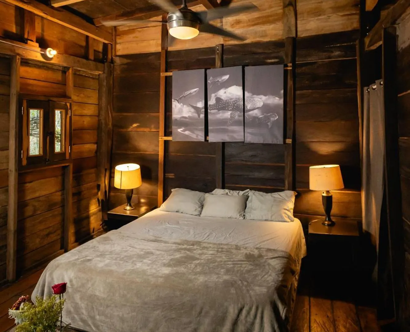 Cheel Lodge & Camping Puerto Morelos