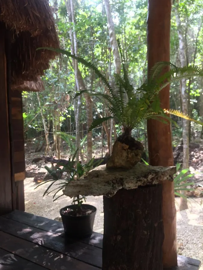 Cheel Lodge & Camping Puerto Morelos