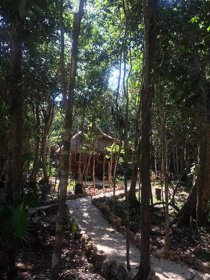 Cheel Lodge & Camping Puerto Morelos