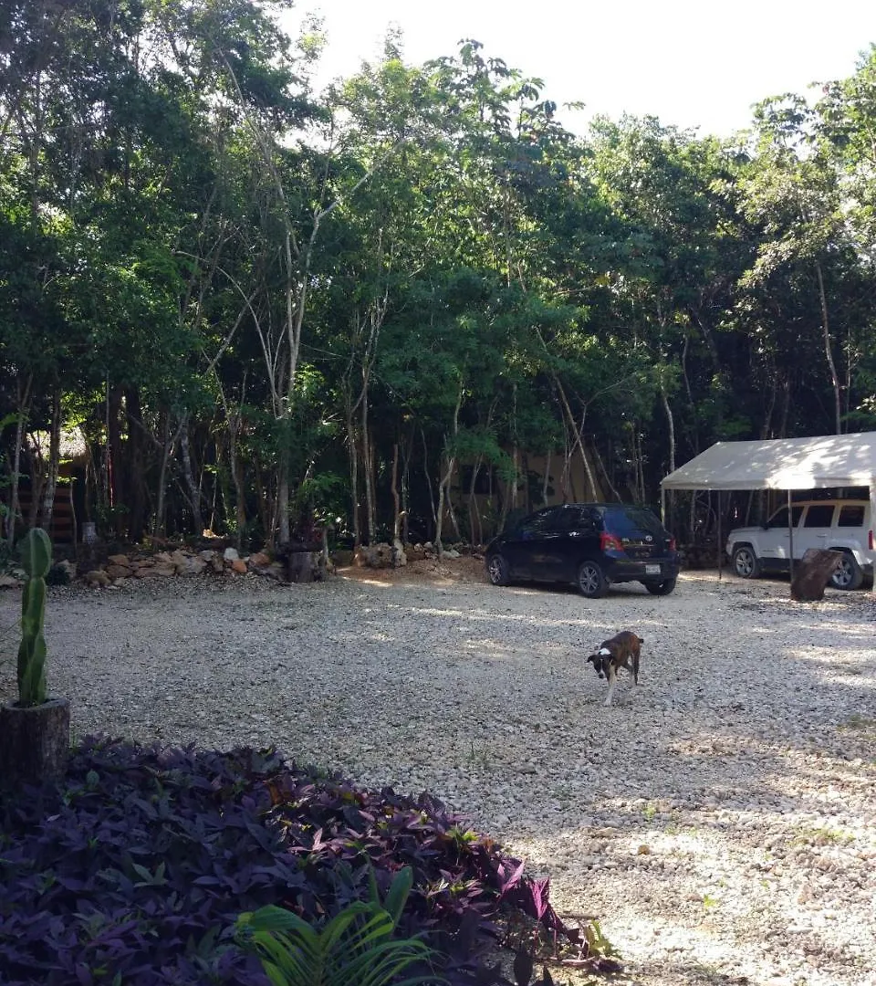 Cheel Lodge & Camping Puerto Morelos